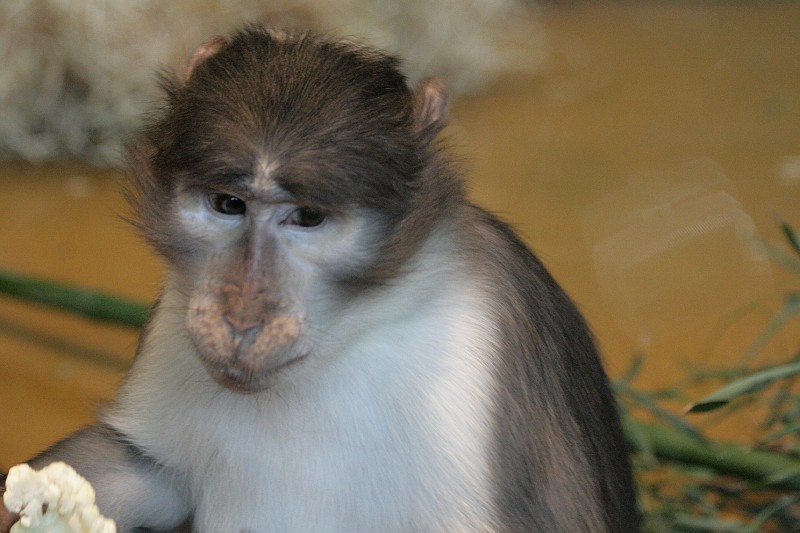 Fotoclubje Blijdorp 2008-94.jpg